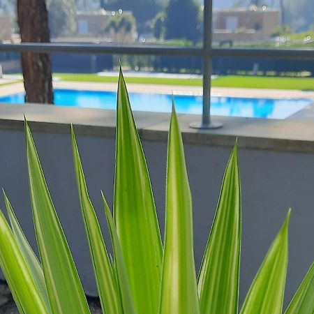 Barca House - Nature - Golf - Pool & Beach Esposende Exterior foto